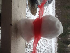 melissa snow man