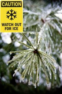 ice on tree with sign