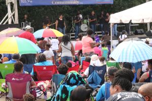 2016 Unity In The Community Day Crowd Pictures