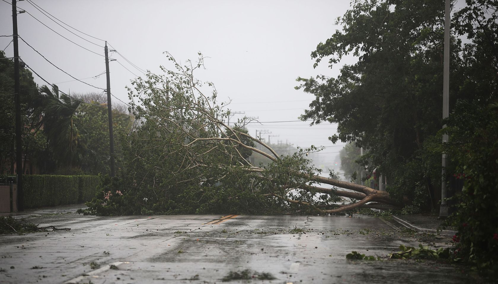 Powerful Hurricane Irma Slams Into Florida
