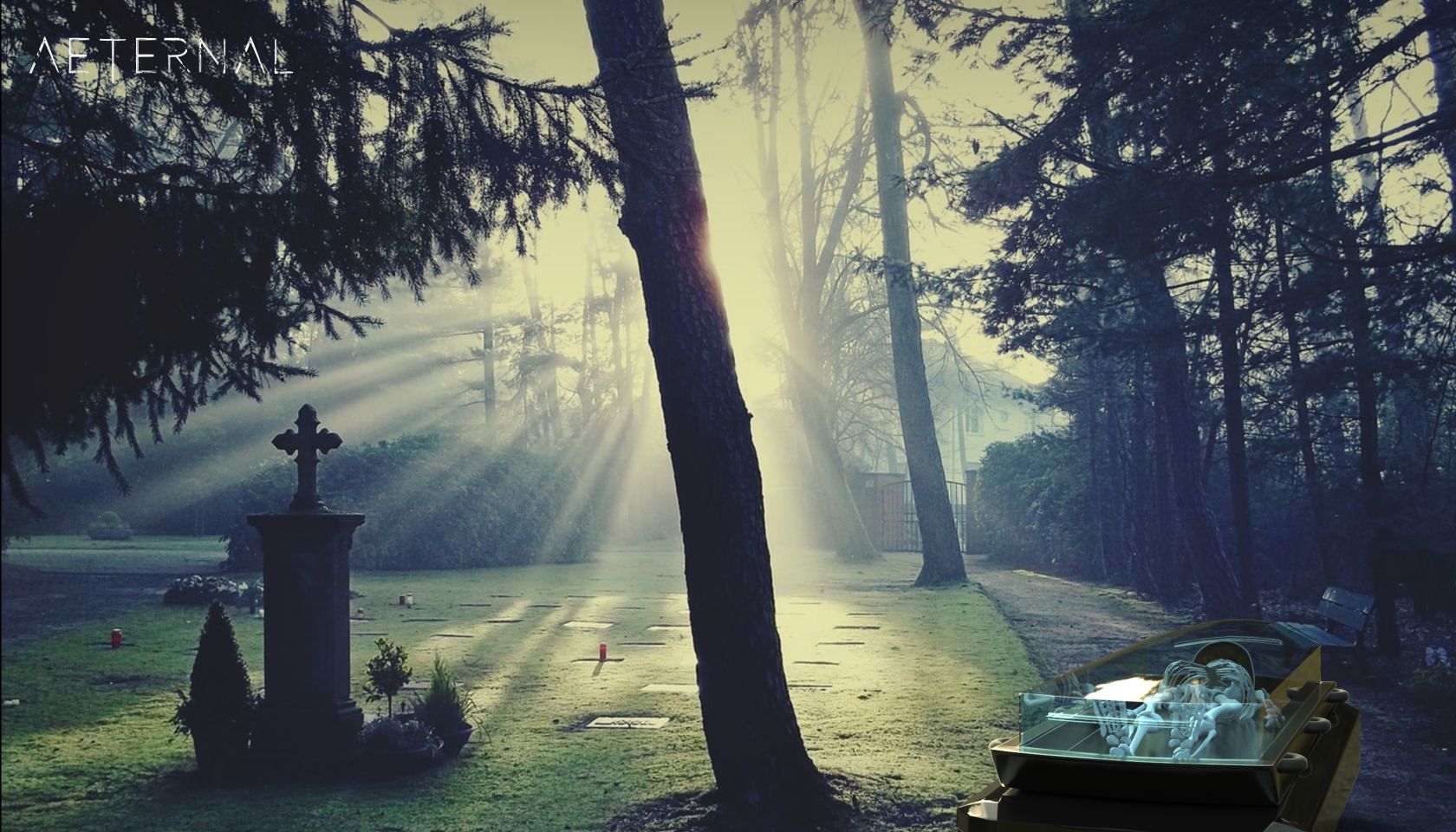 Futuristic Farewell: Driverless Hearse Injects Innovative Life Into Funerals