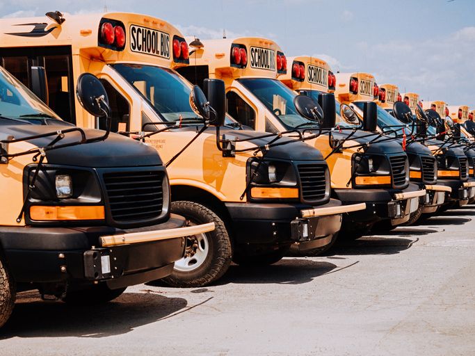 School buses in line on parking spot