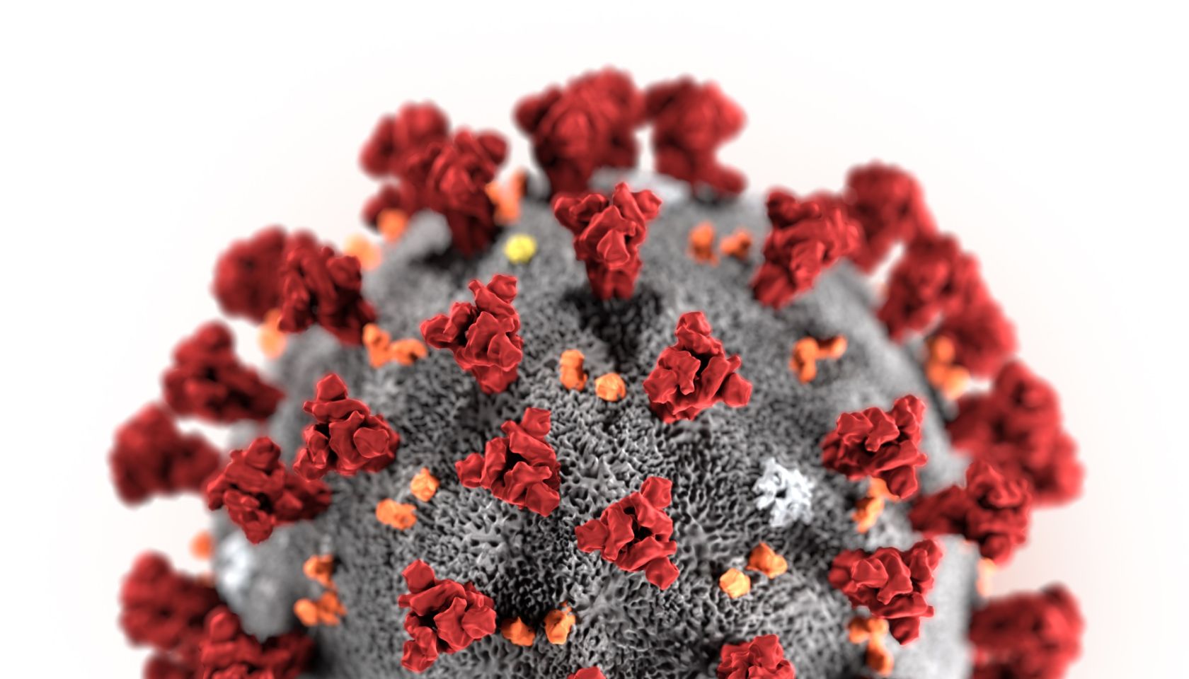 Illustration of 2019 Novel Coronavirus (2019-nCoV)