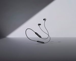 Samsung Premium Headphones